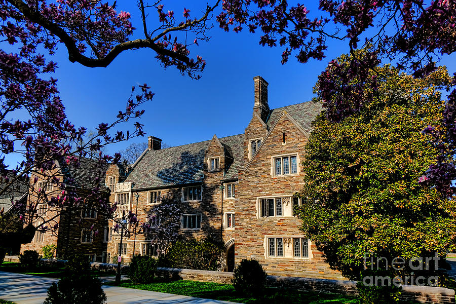 Princeton University Pyne Hall and Trees Photograph by Olivier Le Queinec