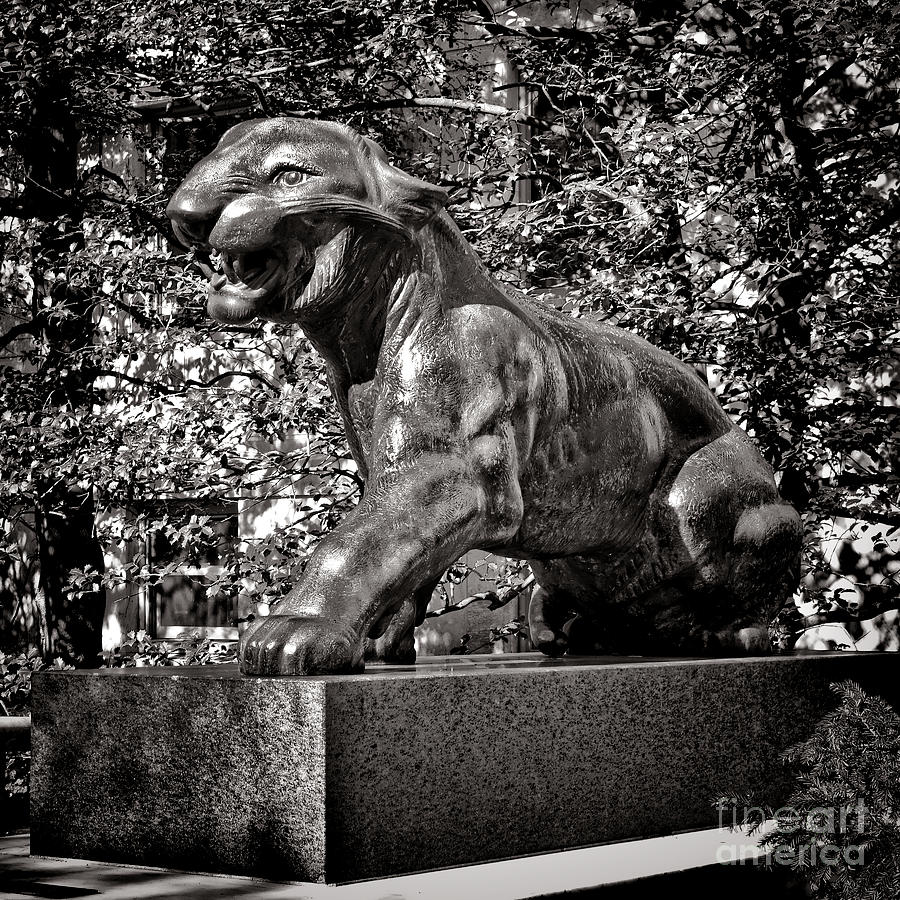 University Photograph - Princeton University Tiger Sculture by Olivier Le Queinec