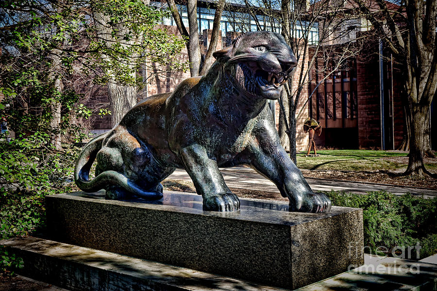 Princeton University Tiger Statue Photograph by Olivier Le Queinec
