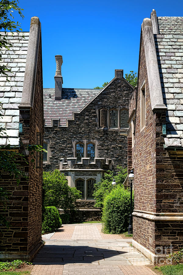 Princeton University Wright Hall Photograph by Olivier Le Queinec