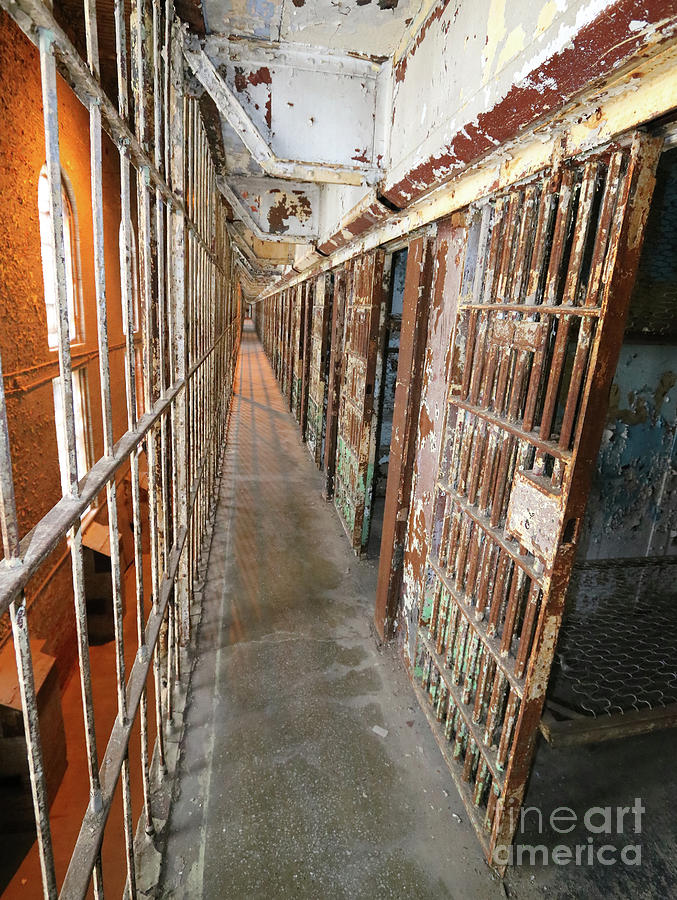 Prison Photograph - Prison Cells by Steve Gass