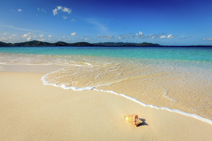 Pristine beach in British Virgin Islands Photograph by Alexey Stiop