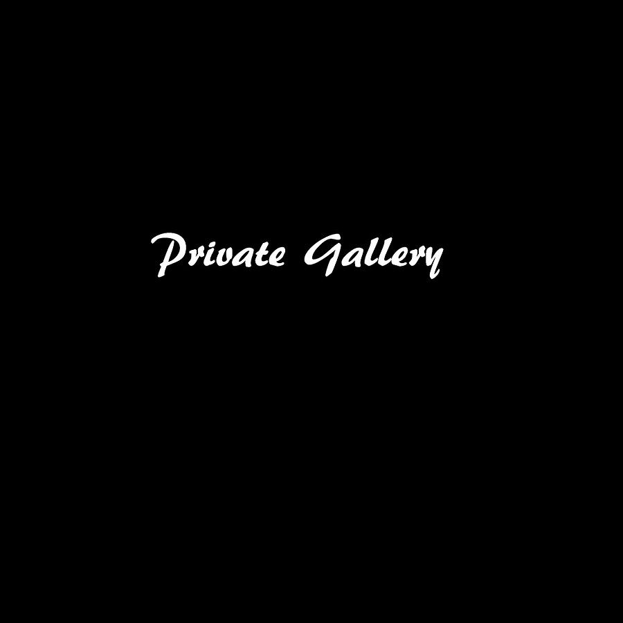 Private Gallery Digital Art by Douglas Pittman
