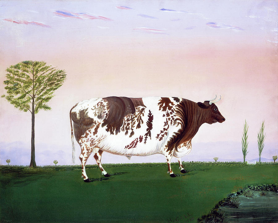 Prize Bull Painting by H Call