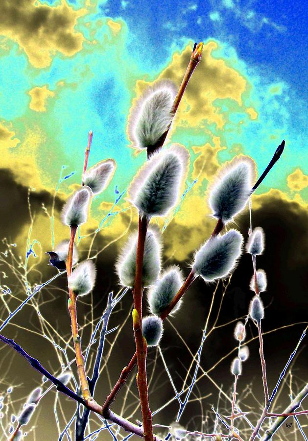 Proclamation Of Spring Digital Art by Will Borden