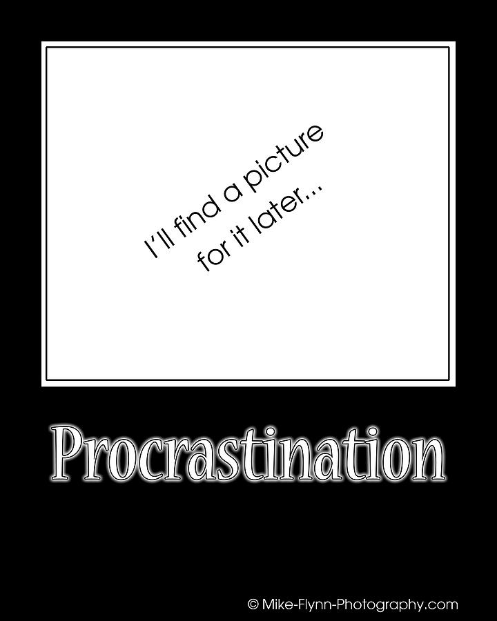 Procrastination Photograph by Mike Flynn