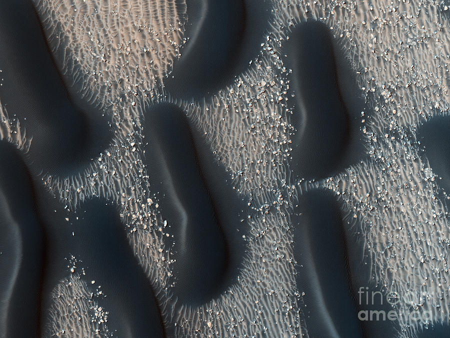 Proctor Crater. Dune Field. Mars Painting by Celestial Images