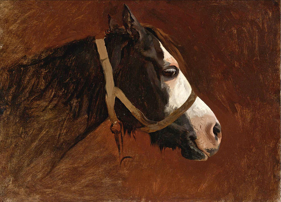 Jean-leon Gerome Painting - Profile of a Horse by Jean-Leon Gerome