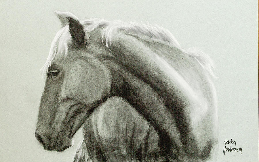 Profile of a Horse Drawing by Jordan Henderson