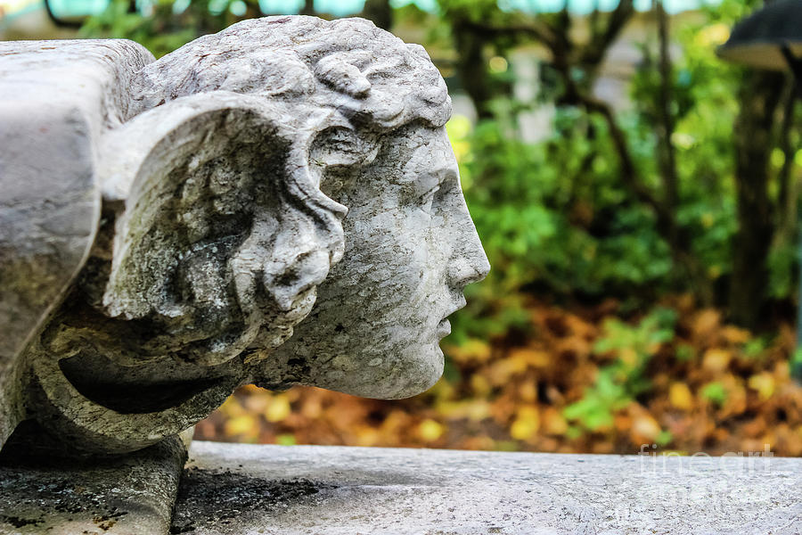 Profile of an Angel Photograph by Colleen Kammerer