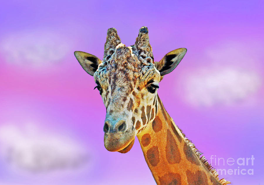 Profile Portrait of a Giraffe III Photograph by Jim Fitzpatrick