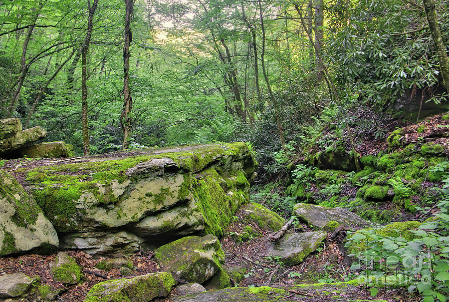 Nature Photograph - Profile Trail Rock by James Foshee Nature Photograph - Profile Trail Rock by James Foshee
