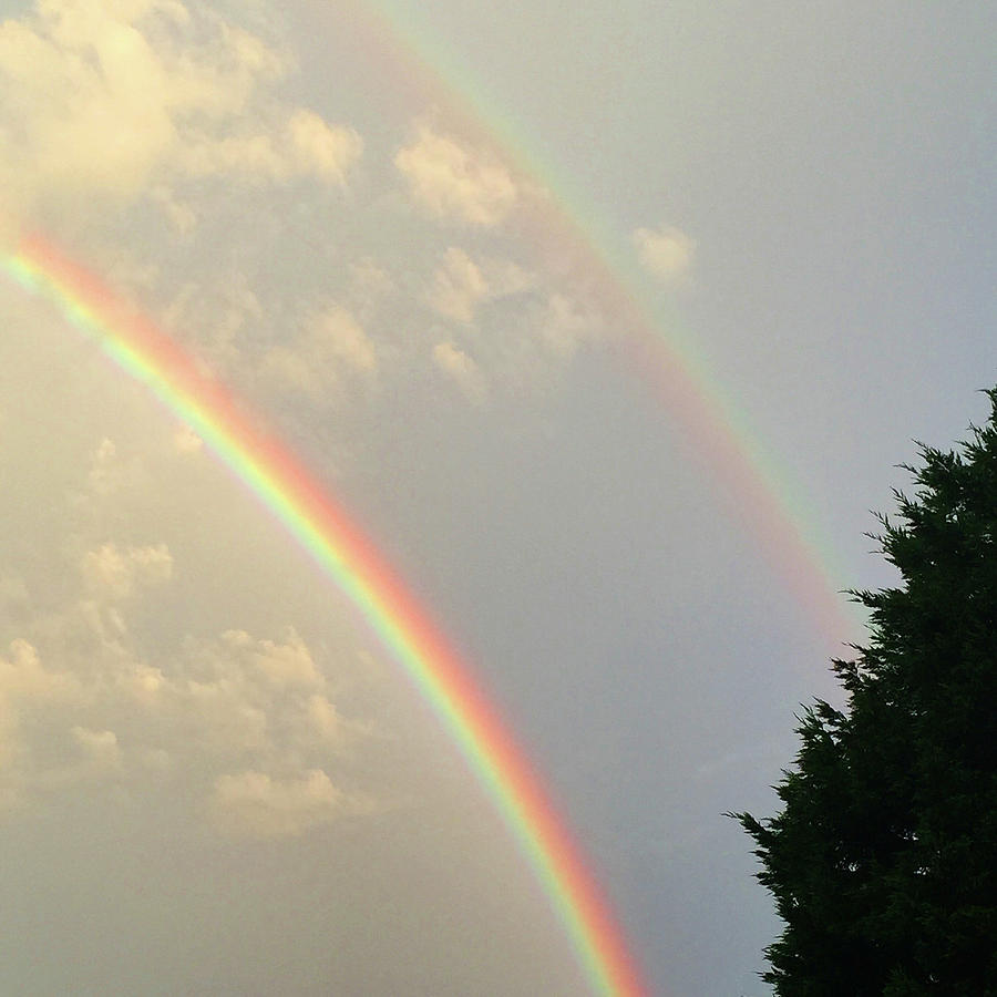 Rainbow Photograph - Promise From Heaven  by Matthew Seufer