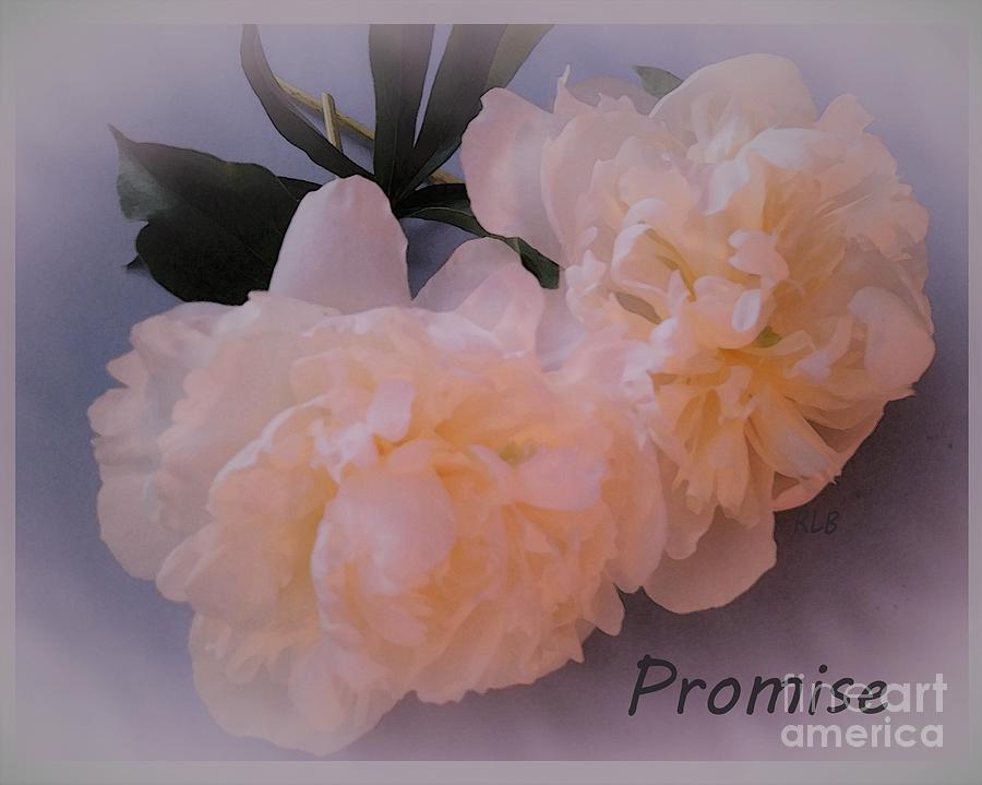 Promise Photograph by Rita Brown