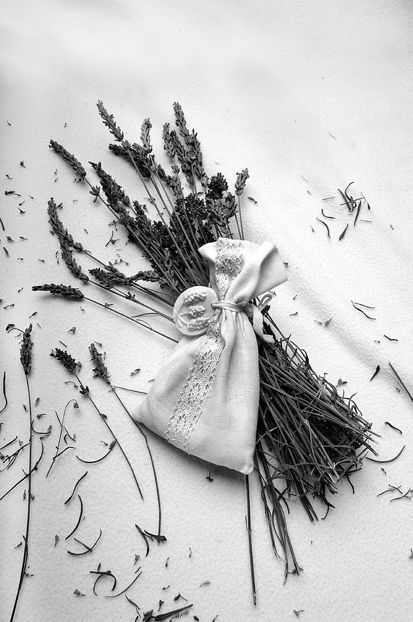 Flower Photograph - Promises by Randi Grace Nilsberg