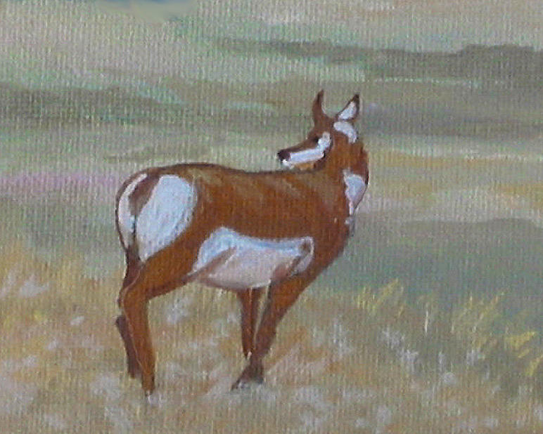 Prong Horned Antelope Painting by Diane Ellingham