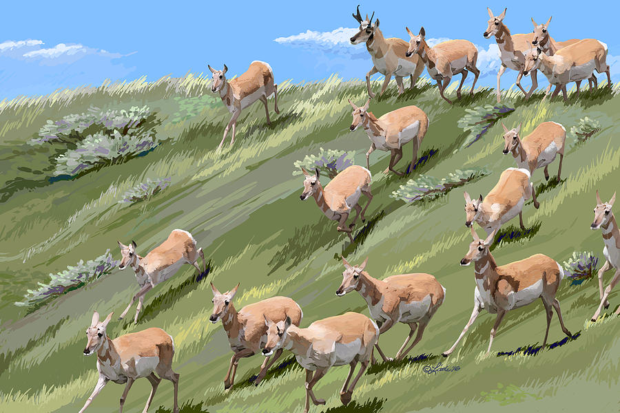 Pronghorn Promenade Painting by Pam Little