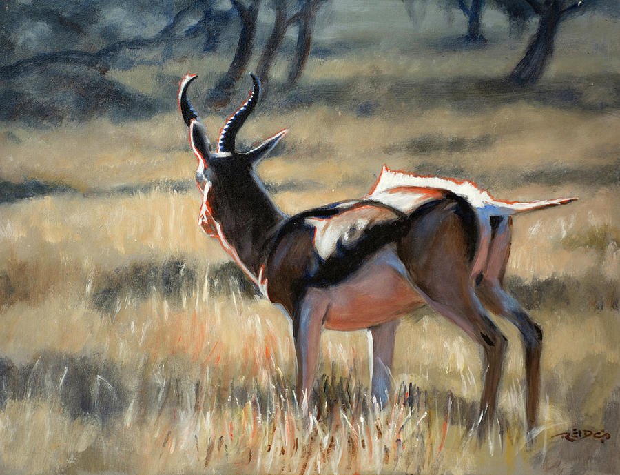 Nature Painting - Pronking Springbock by Christopher Reid