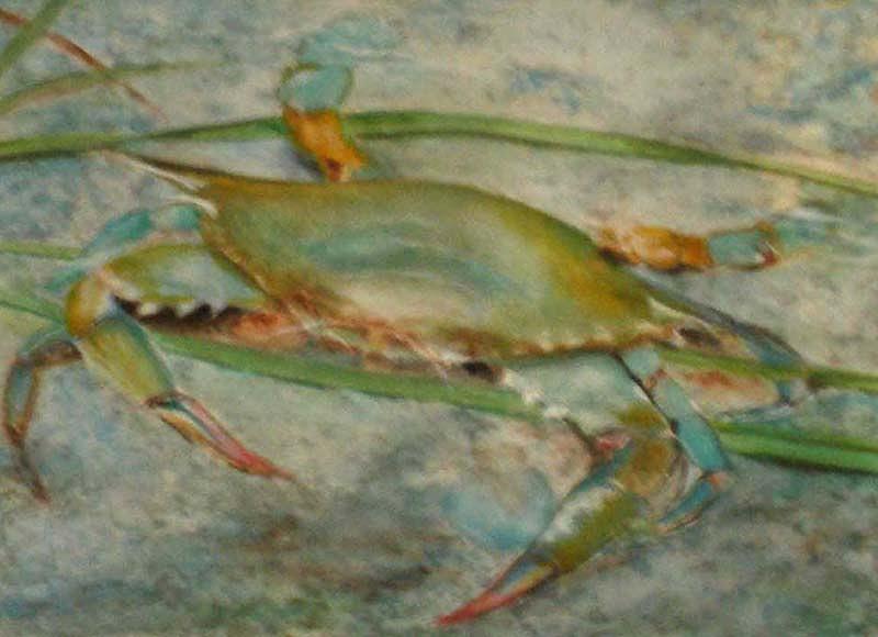 Propa Blue crab Painting by Sibby S