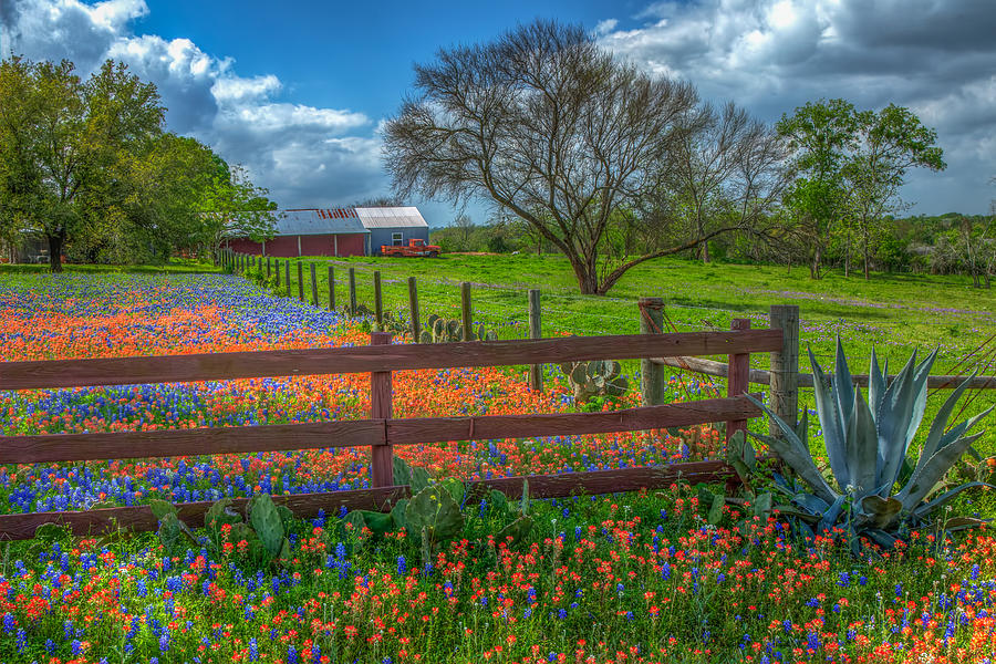 Spring Photograph - Property Corner by Tom Weisbrook
