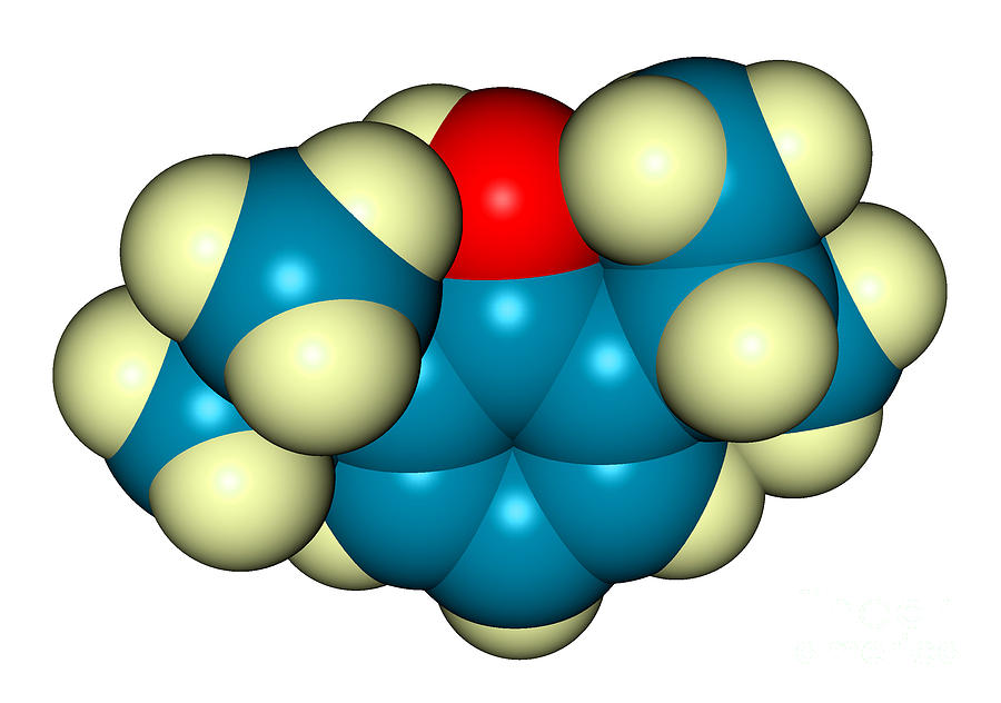 Propofol Diprivan Molecular Model Photograph by Scimat