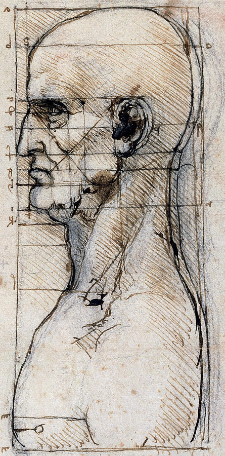 Leonardo Da Vinci Drawings Leonardo Da Vinci Da Vinci Drawings Leonardo