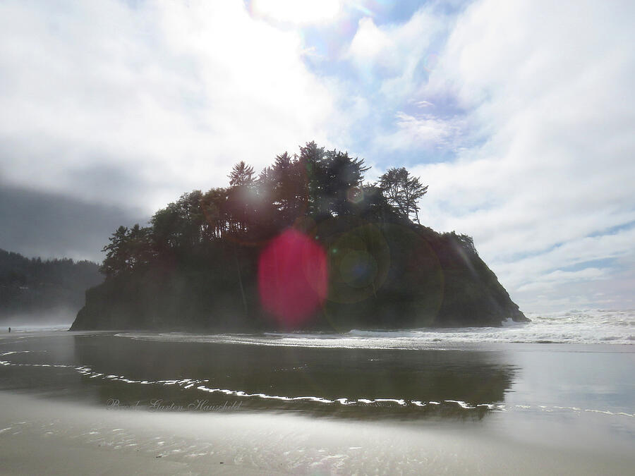Proposal Rock Offering - Oregon Coast - Photography Photograph by Brooks Garten Hauschild
