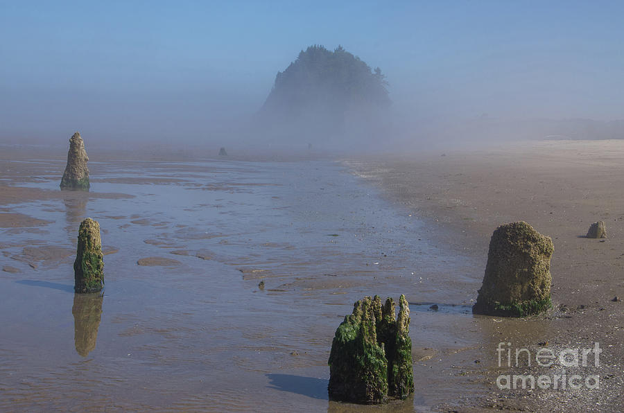 Proposal Rock Rises From the Mist- h1 Photograph by Rick Bures