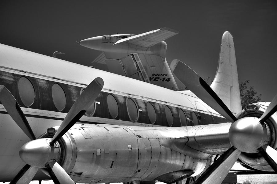 Props and Tails in Black and White  Photograph by Kevin Munro