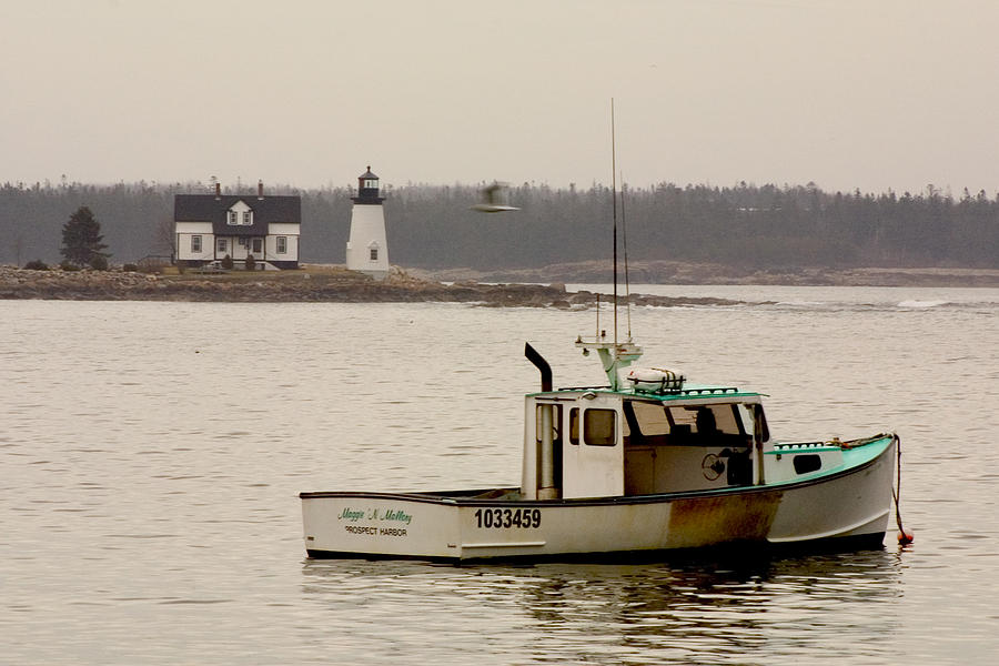 Prospect Harbor Lighthouse Photograph by Brent L Ander