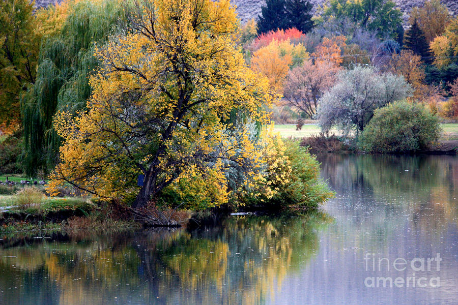 Prosser Autumn River Reflection Photograph by Carol Groenen