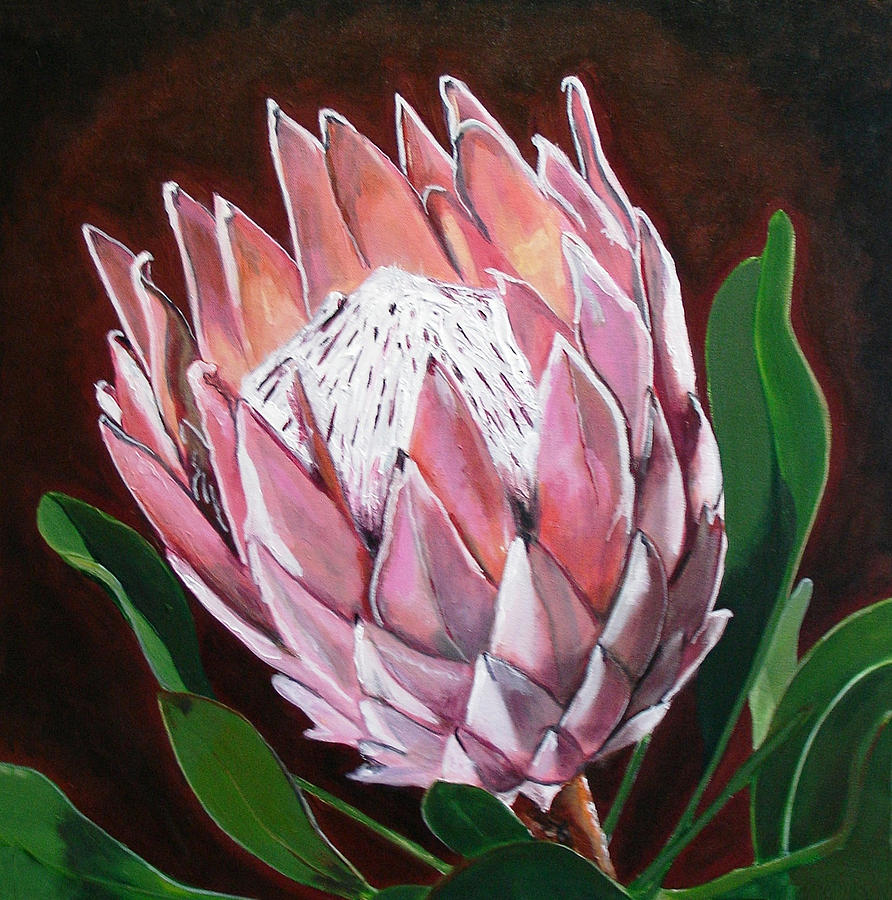 Protea Painting by Jacqui Simpson