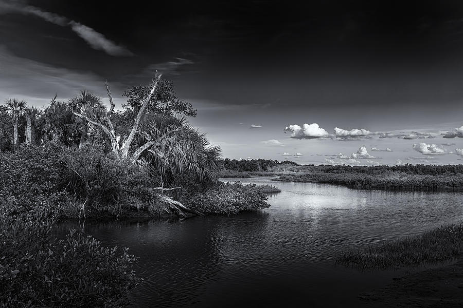 Sunset Photograph - Protected Wetland by Marvin Spates