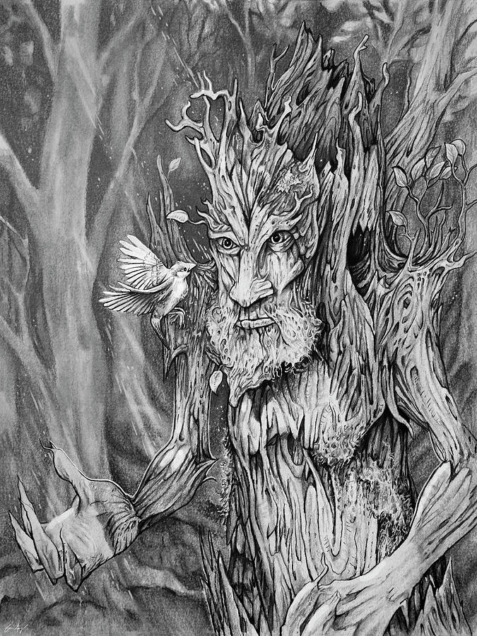 Protector of the Forest Drawing by Aaron Spong
