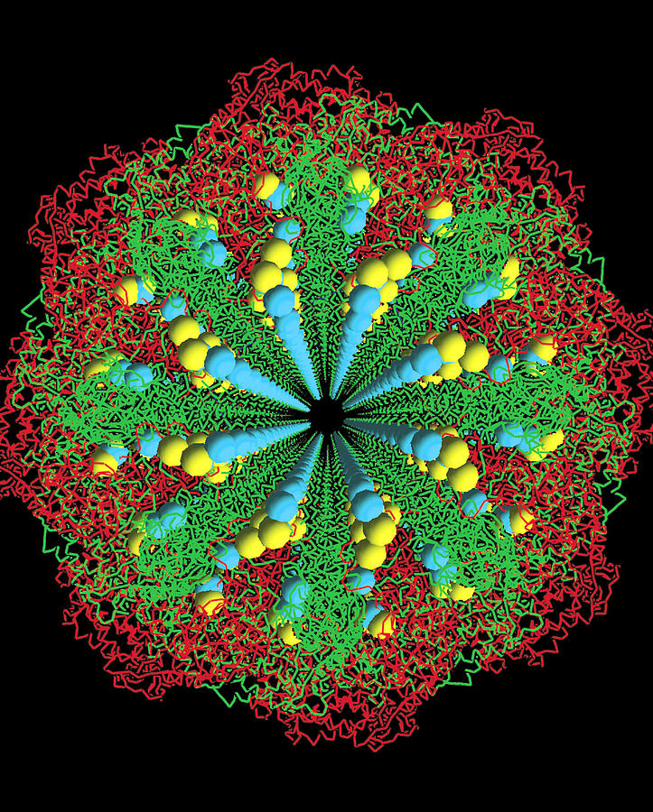 Protein Photograph - Protein Nanotube by Nasa