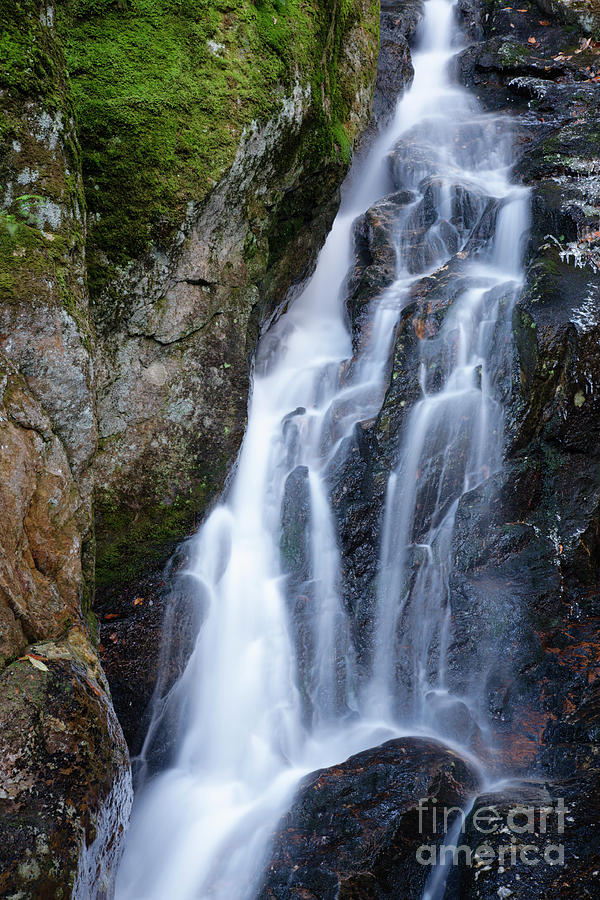 Proteus Falls - White Mountains New Hampshire USA Photograph by Erin Paul Donovan