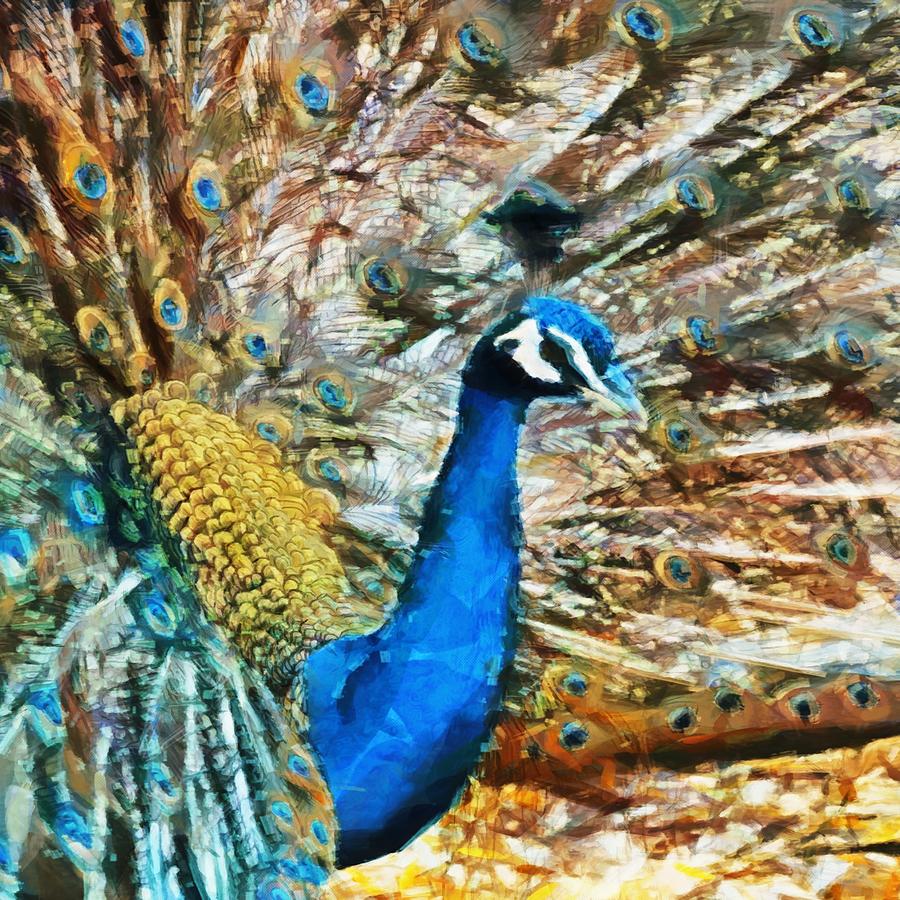 Proud as a Peacock Digital Art by Charmaine Zoe