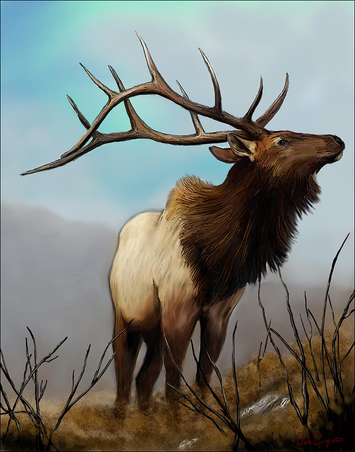 Elk Paintings