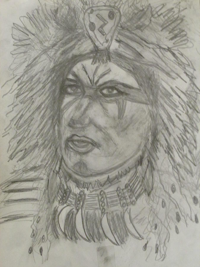 Proud Nation Drawing by Sharyn Winters
