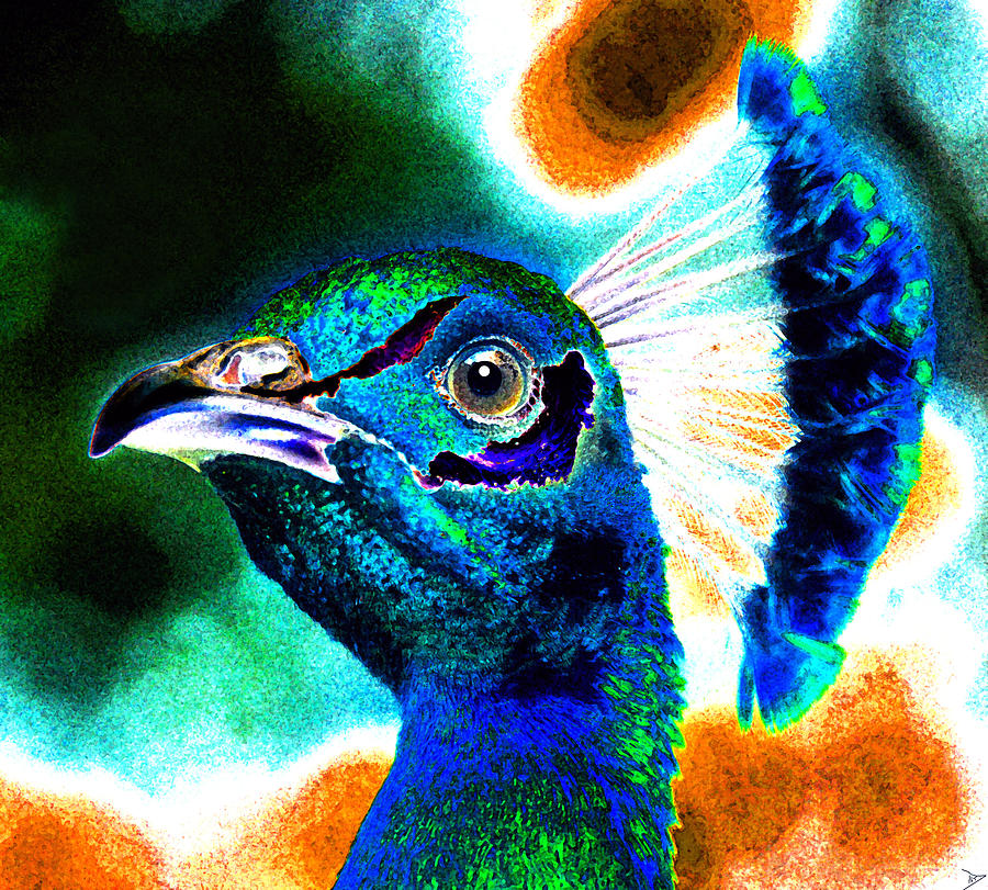Proud Peacock Painting by David Lee Thompson