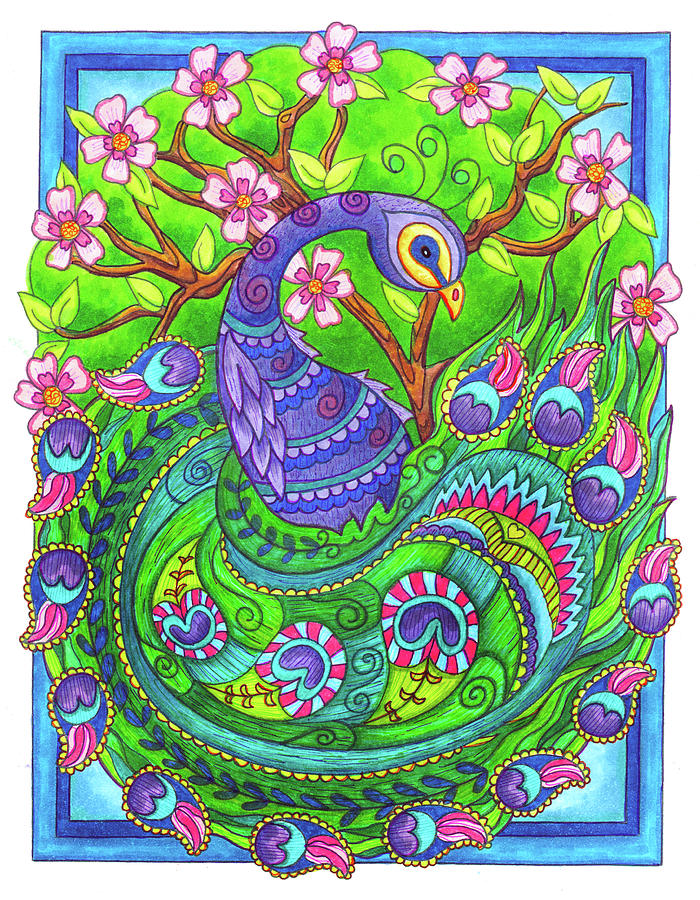 Proud Peacock Drawing by Jennifer Allison - Fine Art America