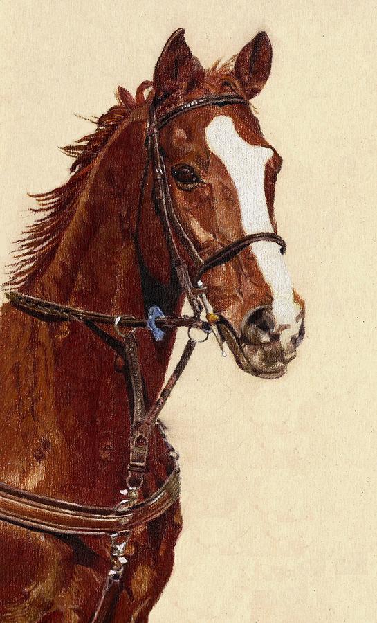 Horse Painting - Proud - Portrait of a Thoroughbred Horse by Patricia Barmatz