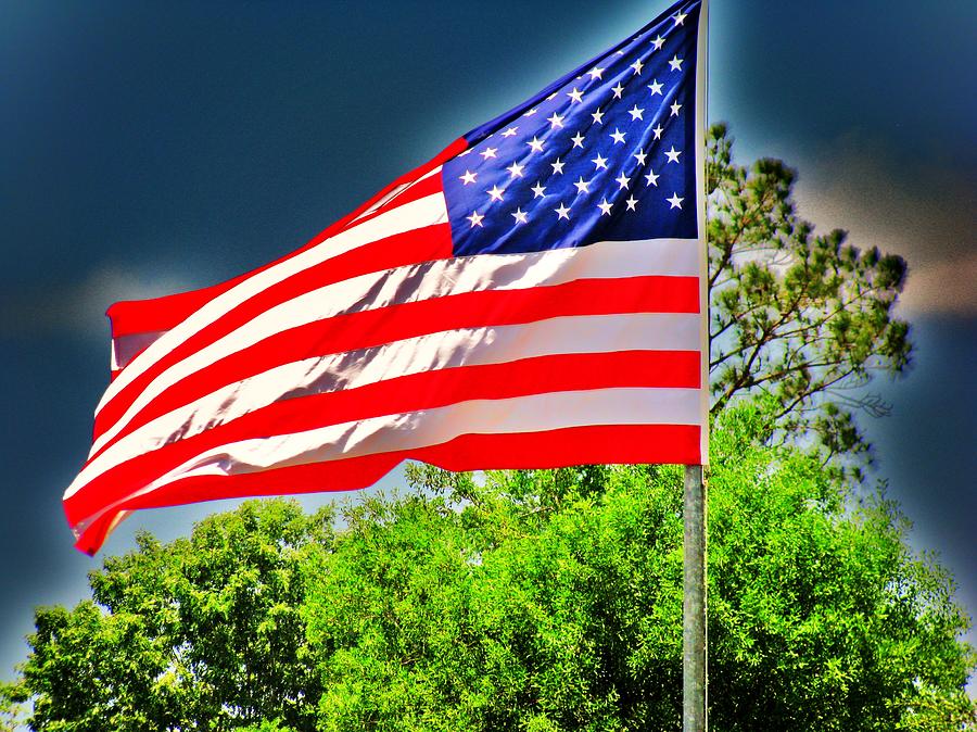 American Flag Photograph - Proud to be American by Nikki Mansur
