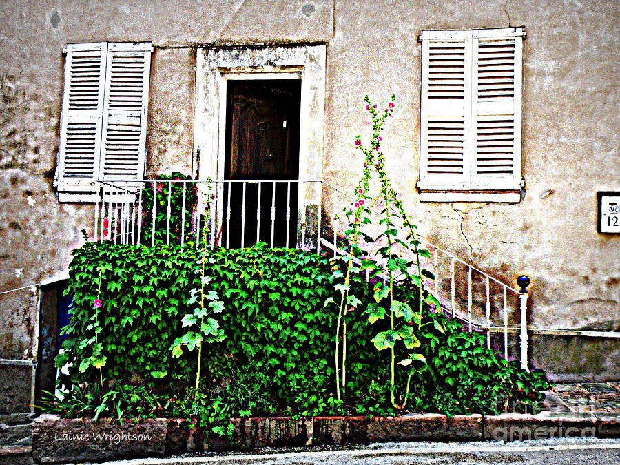 Provence Door Number 12 Photograph by Lainie Wrightson