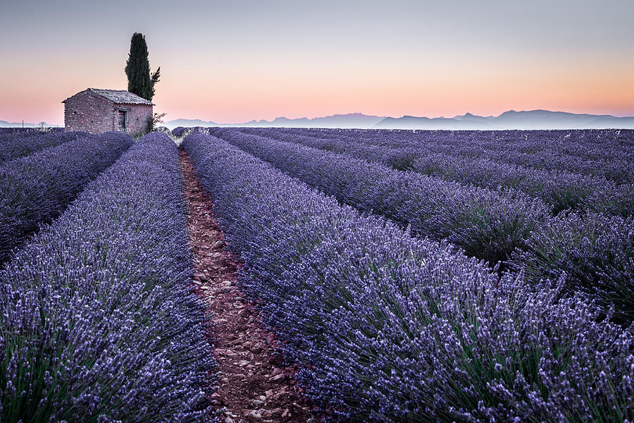 Provence Photograph by Stefano Termanini