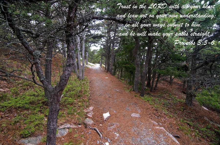 Proverbs 3  5-6 Photograph by Paul Mangold