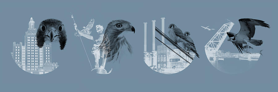 Landmark Digital Art - Providence Raptors Landmark Collection - Panoramic by Peter Green Landmark Digital Art - Providence Raptors Landmark Collection - Panoramic by Peter Green
