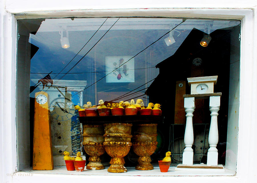 Proviencetown Window With Chicks Photograph by Susan Vineyard