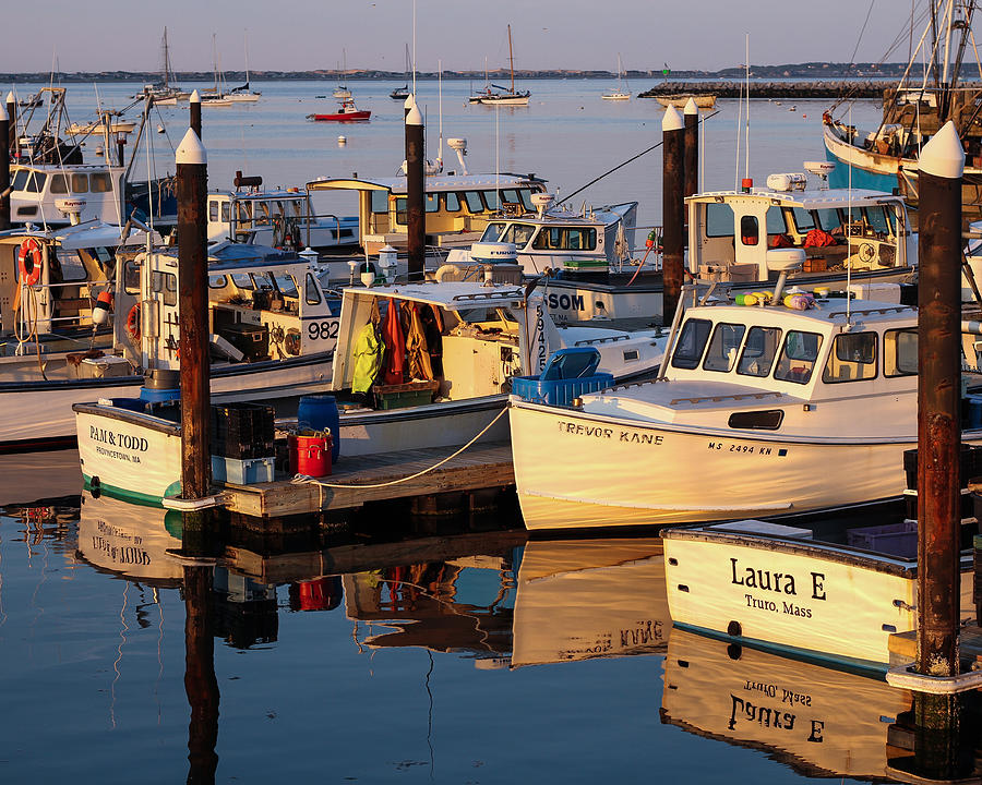 Provincetown Fishing Boats, Ptown, MA Photograph by Nicole Freedman