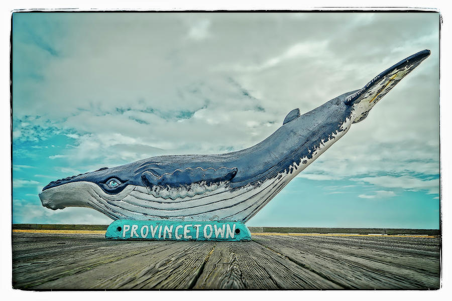 Provincetown Photograph by Jerry Golab